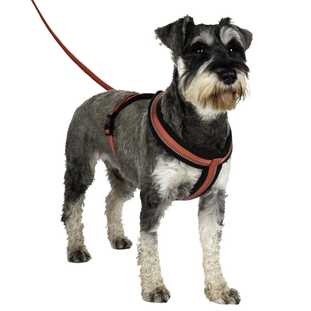 HALTI Comfy Harness